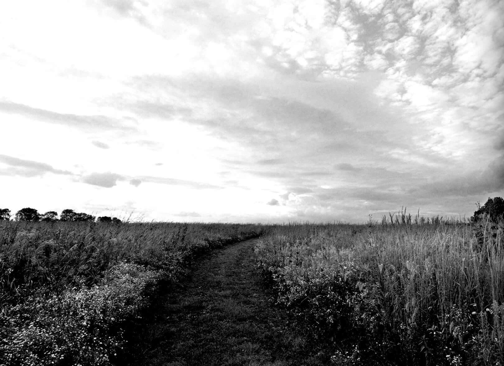 prairie