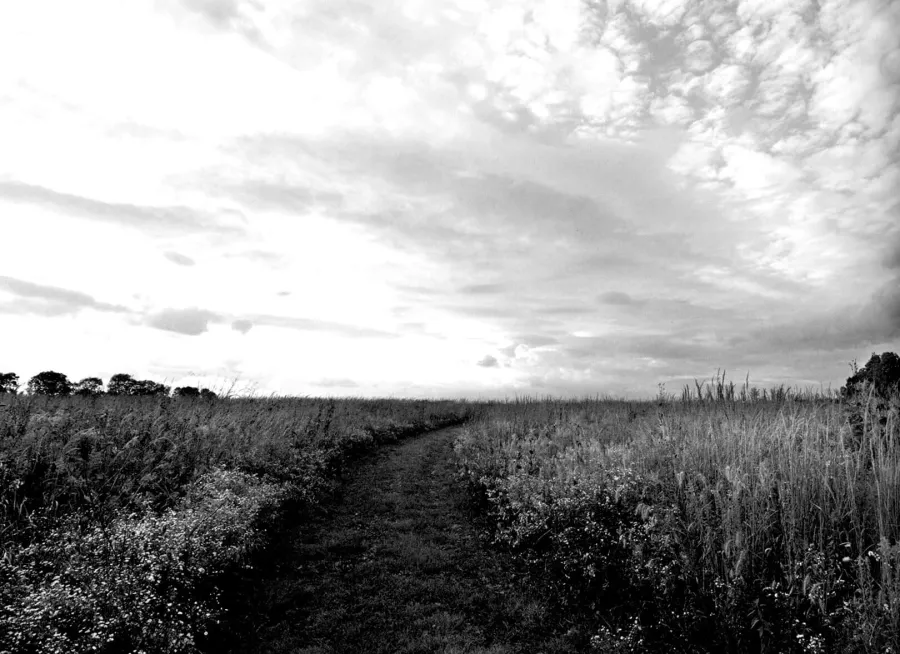 prairie